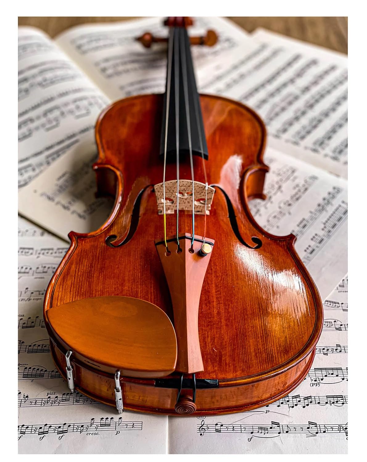 Amazon | Conrad Götz、ZK-257、4/4ヴァイオリン用 スリムスタイル顎